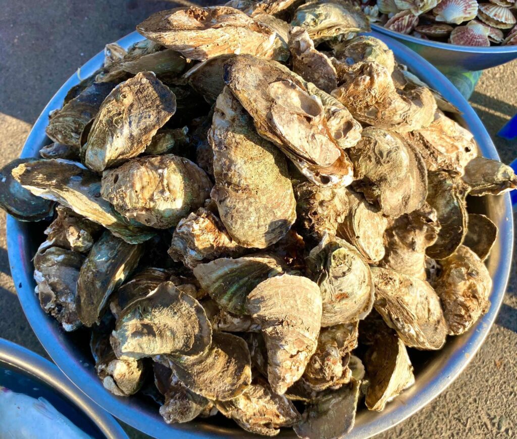 hải sản tươi cổ thạch